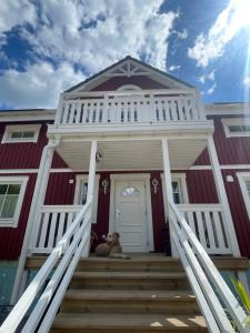 un cane seduto sul portico di una casa di Großes Naturidyll bei Berlin a Glienicke