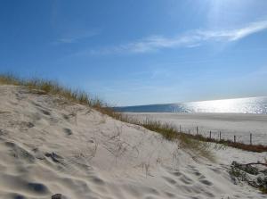 a sandy beach with a fence and the ocean at Róża Wiatrów Leśny Klif 2 in Debina +4 photos