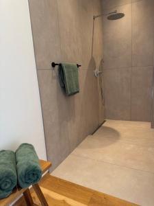 a bathroom with a shower with green towels at Anton's Apartment - Natur & See in Velden am Wörthersee +32 photos