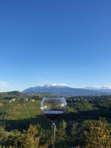 a glass of wine with a view of a valley at Villa vista La Majella in Chieti