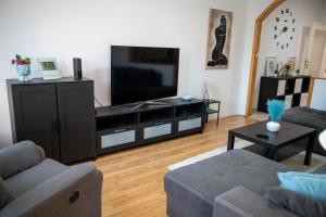 a living room with a couch and a television at Bella Apartman in Nyíregyháza