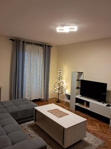 TV a/nebo společenská místnost v ubytování Stan na dan - Inđija