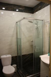 Un baño con ducha, inodoro y lavabo. en Pasettistraße 31, en Viena