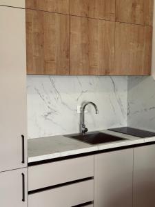 Apartments Mrdak في بار: مطبخ مع حوض ودواليب خشبية