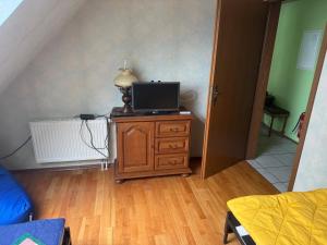 TV a/nebo společenská místnost v ubytování Bärenheim