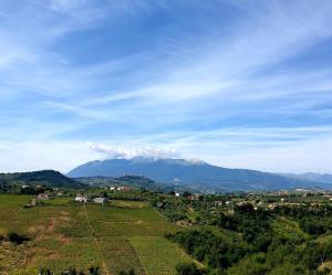 a mountain in the distance with a town and a field at Villa vista La Majella in Chieti