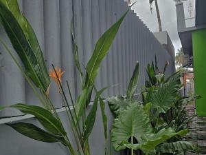 Φωτογραφία από το άλμπουμ του Cliff End Beach Stay σε Kappil