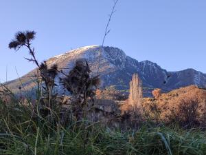 a mountain in the middle of a field with grass at El granero de Mara in Jaca