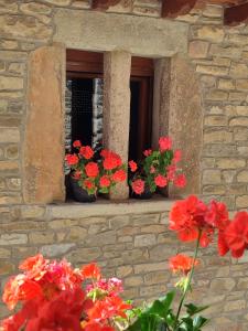 a window with two pots of red flowers on it at El granero de Mara in Jaca +10 photos