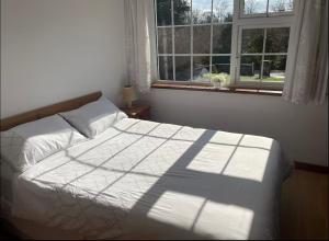 Billede fra billedgalleriet på The Bungalow i Ballinrobe