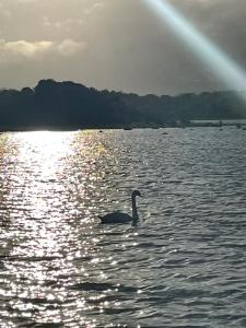 Billede fra billedgalleriet på The Bungalow i Ballinrobe