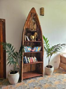 a book shelf filled with books next to two plants at Zanzicrown in Nungwi