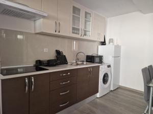 a kitchen with a sink and a washing machine at Apartman Prgin in Primošten
