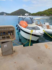 ein Boot liegt an einem Dock im Wasser in der Unterkunft Gargano Blu 