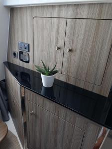 einer Topfpflanze auf einem Schrank in der Unterkunft Gargano Blu 