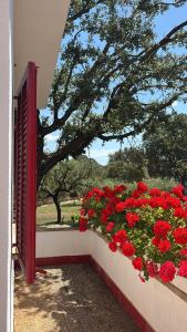 Vonkajšia záhrada v ubytovaní Finca Sa Cova de Mallorca