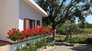 Vonkajšia záhrada v ubytovaní Finca Sa Cova de Mallorca
