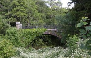 a bridge in the middle of a forest with flowers at Lake Lodge Guesthouse in Killarney