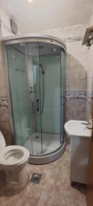 a bathroom with a shower and a toilet and a sink at No work in Ivišovo Greblje +12 photos