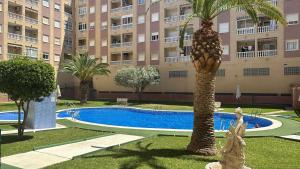 a palm tree in front of a building with a swimming pool at 2 chambres, Torrevieja in Torrevieja