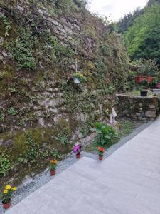 Zahrada ubytování Il sentiero b&b