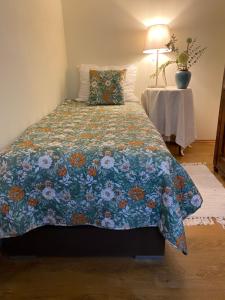 Posteľ alebo postele v izbe v ubytovaní Cozy Apartment Steyr Mitte, ruhig, Parkplatz, Terasse, 2 Schlafzimmer, WLAN