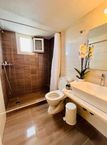 un bagno con WC, lavandino e doccia di Studio Eleni a Mykonos Città Altre 44 foto