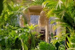 Zahrada ubytování Scenic Mountain Ecolodge Ninh Binh + 37 fotografií
