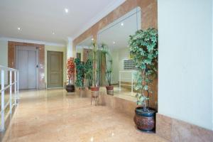 a hallway with potted plants in a building at Lenas Apartments Pedro Lorca in Torrevieja