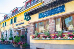 a building with potted plants on the front of it at Hôtel Restaurant Au Boeuf in Blaesheim