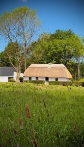 Zahrada ubytování Murphys Thatched Cottage