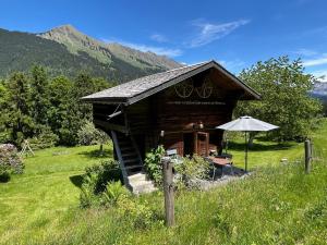 a small log cabin with an umbrella in a field at le Farfadet in Ensex