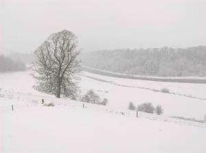 Gallery image of Katie's View in Cahir