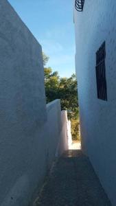 Fotografie z fotogalerie ubytování Maisons D'hôtes v destinaci Aouchtame + 18 fotografií