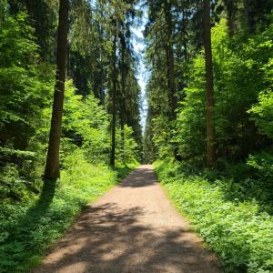 Příroda nedaleko apartmánu + 5 fotografií