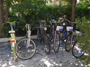 Jazda na bicykli v okolí ubytovania B&B La Fontanella