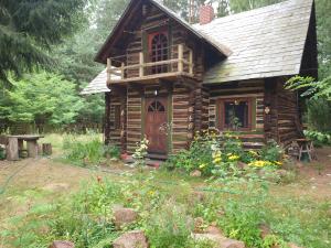 DzwonkowiceDzwonkarnia的树林中的小木屋,带花园