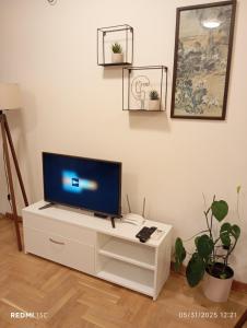 TV a/nebo společenská místnost v ubytování Apartman Vuk