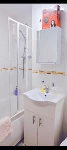 Un baño de BEAUTIFUL FLAT WITH A GARDEN in Marylebone