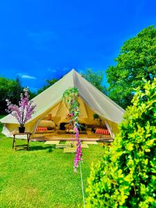 CAYORETREAT LUXURY BELL TENT外面的花园