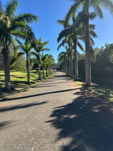 a street lined with palm trees on a sunny day at BlueHive guesthouse Leisure in Port Edward