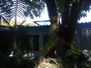 a tree in front of a house with a fence at Cirlene e Lyncon in Paranaguá