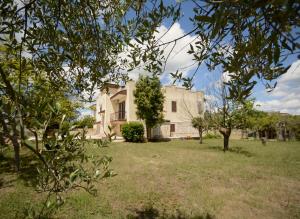 a house in a yard with trees in the foreground at Terrarossa in Crispiano