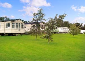 a large yard with a house and two trees at York House Holiday Park in Thirsk