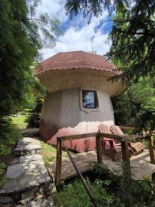 Zahrada ubytování Art Apartments Minic