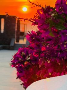 Photo de la galerie de l'établissement La Ponta Villas & Suites, à Akrotiri