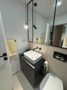Ένα μπάνιο στο Cozy Studio Sulina
