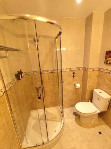 a bathroom with a shower and a toilet at Apartamento San Cristóbal Benalmádena Costa in Benalmádena +19 photos