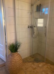 eine Dusche mit einer Pflanze in einem Badezimmer in der Unterkunft Ingeborgstova in Lii