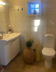 ein Badezimmer mit Toilette und Waschbecken und einem Fenster in der Unterkunft Ingeborgstova in Lii + 16 Fotos